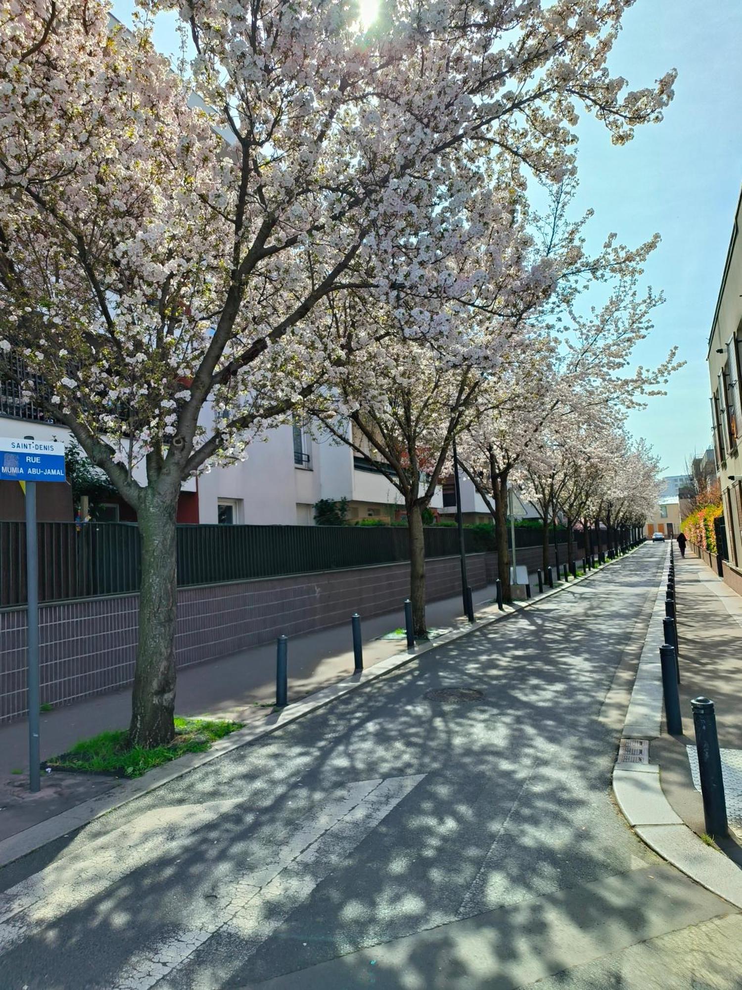 Апартаменти Neuf, Calme, 10 Minutes Du Centre De Paris Сен-Дені Екстер'єр фото